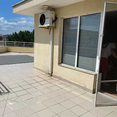 Palm Court A26
